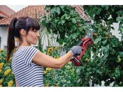 Einhell Astsäge GE-GS 18 Li - Solo -WerkProfi Verkäufe 52327428 xxl